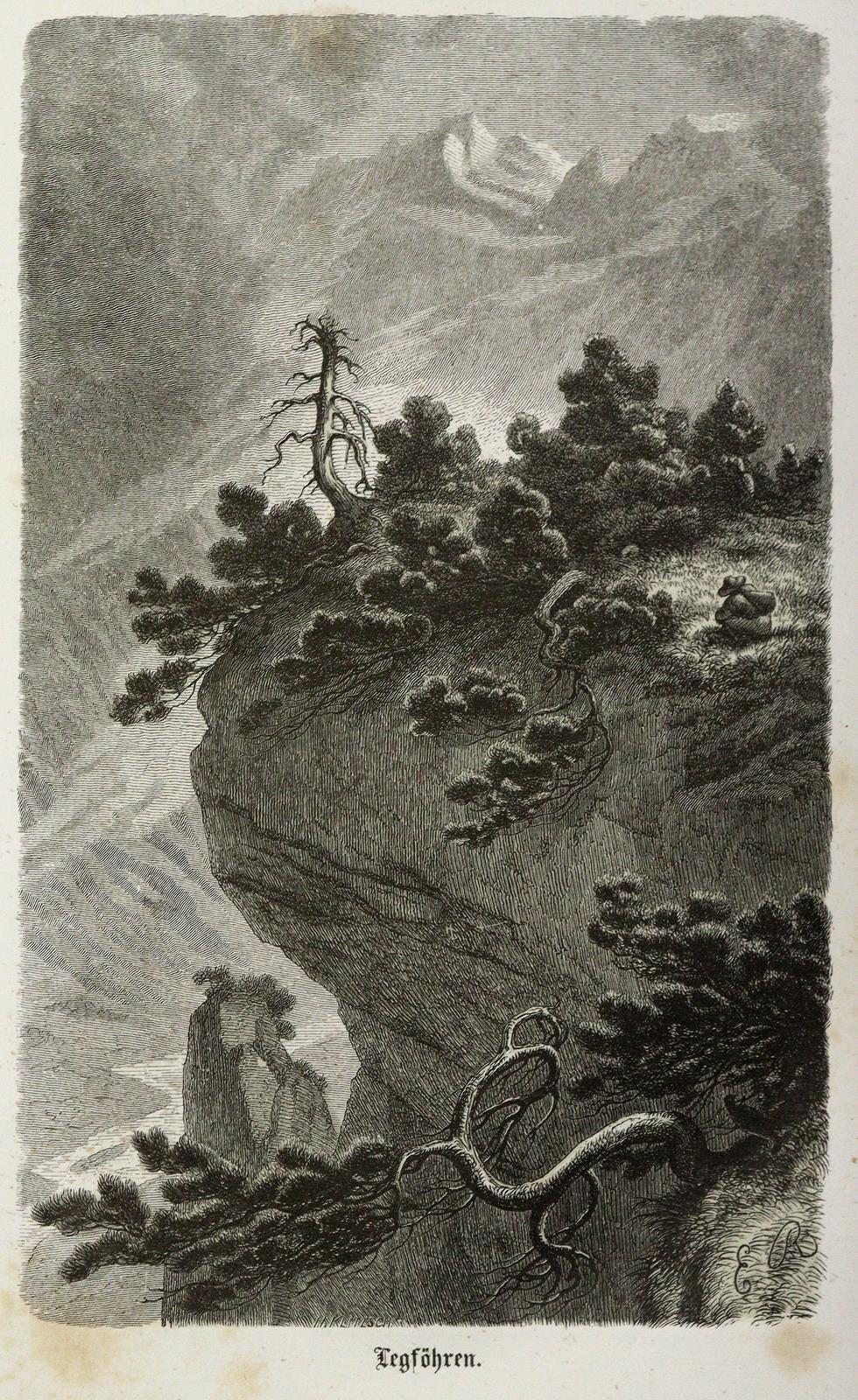 Sammlung | Bild Nr.3